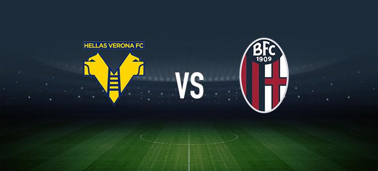 球队的出色 球队的出色